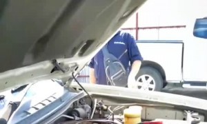 Python Found Under Vehicle's Hood