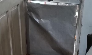 Leeloo the Husky Bursts through Door