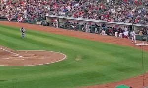 The Rochester Redwings Bat Dog is a Good Boy