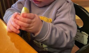 10-Month-Old Has Hilarious Reaction First Time Trying Lemon