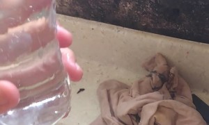 The Faucet is Thirsty