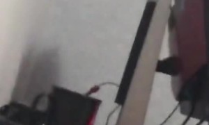 Hamster Darts Headfirst into Wall