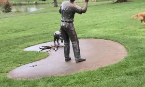 Frozen Figure Won't Play Fetch