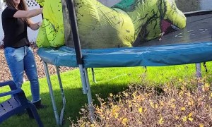 Getting on a Trampoline as a T-Rex is Hard