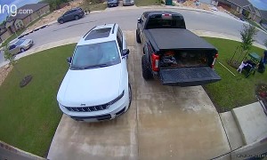 Future Gymnast in the Family