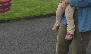 Easter Bunny Surprise Turns Into Sweet Family Reunion