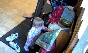 Toddler Takes Cash Out of Grandma's Purse
