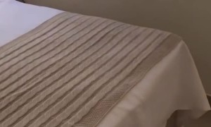 Crazy Cat Collides with Closed Window