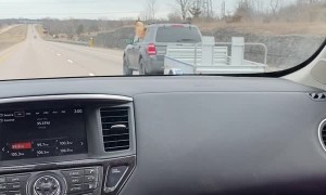 Golden Jack in the Box