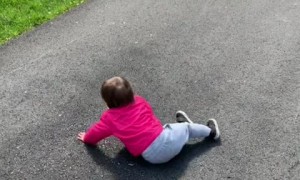 Toddler attempts cartwheel in cutest possible way