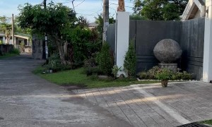 Dog Keeps Watch Over Neighborhood