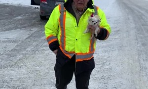 Tiny Dog in Cute Outfit has a Big Attitude