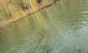 Archie’s First Catch