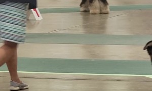 If the Show's Not Going Your Way, Make Your Own Show