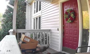 That's Not the Delivery Driver