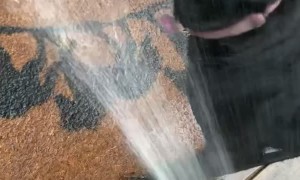Lab Goes Wild for Hose Water