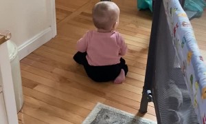 Pup Plays with Happy Baby