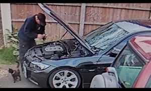 Kitty Closes Car Hood on Dad