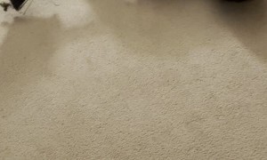 Husband Fails Mobility Challenge