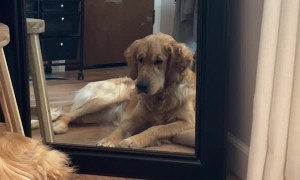 Gold Medalist in the Mean Mug Olympics