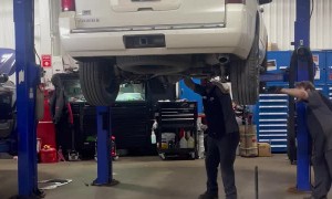 Technician Removes Raccoon From Under SUV