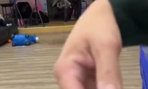 Dinosaur Causes Panic at Children's Party