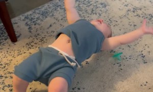 Silly Baby Dances Upside-Down