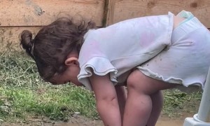 Toddler Sticks Her Head Mud Puddle