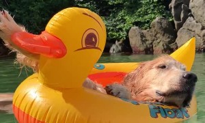 All Good on the Lagoon