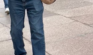 Tiny Dog Taunts Two Dobermans