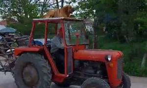 Dog Goes for a Ride on Top of a Tractor