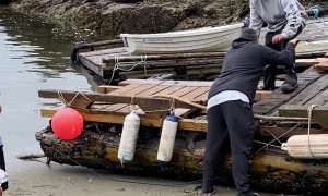 Family Rescues Trapped Seal