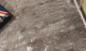 Flood Waters Bust into Apartment During Storm