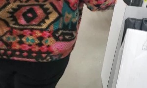 Runaway Dogs Found in Toy Aisle