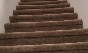 Golden Uses Stairs to Pass Ball Back for Catch