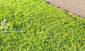 Rolling Into The Weekend Like