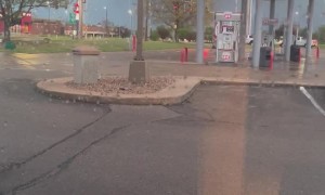 Andover Tornado Travels Through Town