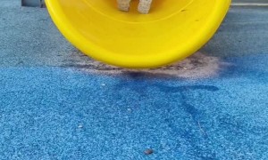 Siblings Have Different Methods Going Down Slide