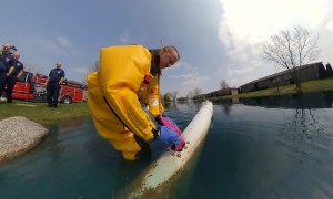 Firefighters rescue trapped ducklings & reunite them with their mom