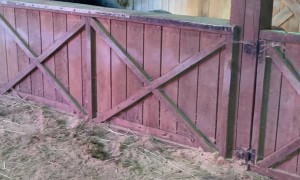 Mini Horse Turns on Fan to Make Herself More Comfortable