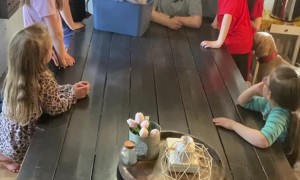 Parents Surprise Foster Daughter With Adoption Date