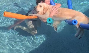 Using Pool Noodles to Keep Golden Floating While Cuddling