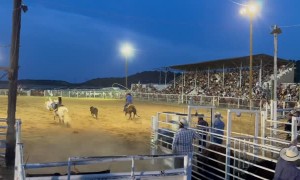 Horse Trips and Sends Cowboy Flying at Rodeo
