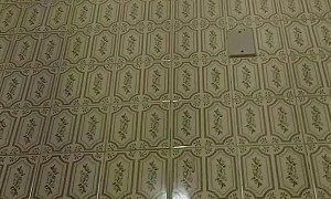 Dog Invades Bathroom Privacy