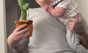 4-Month-Old Child Argues With Dancing Cactus