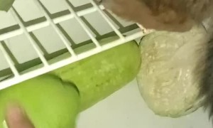 Puppy Climbs into Fridge to Keep Cool