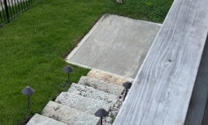 Mama Cat Comes Running Home to Kitten's Cry