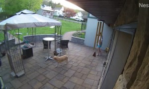 Daughter Trying to Jump Wall in Flip-Flops Trips