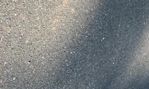 2-Year-Old Runs Out in Front of Sister Riding Bike with no Training Wheels