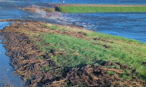 Flooding Turns West Fargo Farm into Lake